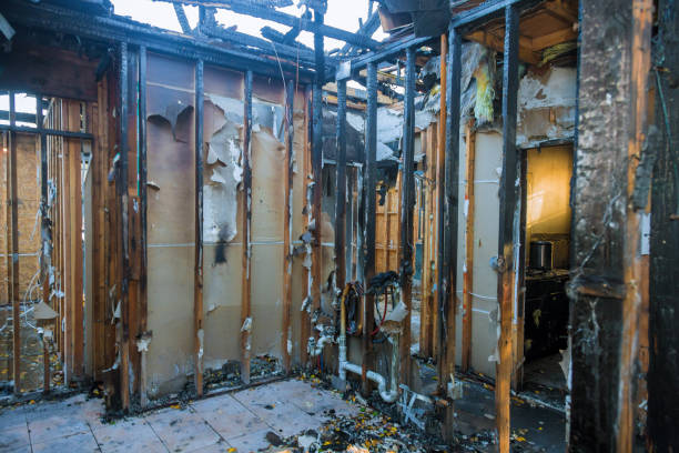 Professional Fire Damage Removal technician working in Deer Park, OH
