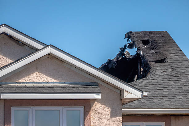 Top rated local Fire Damage Removal specialists in Deer Park, OH